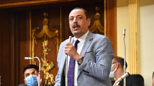 أشرف أمين عضو مجلس النواب 