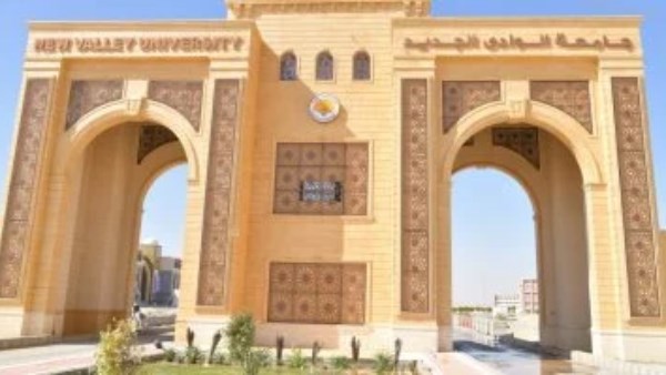 جامعة جنوب الوادي