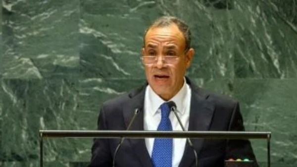 وزير الخارجية الدكتور بدر عبد العاطى