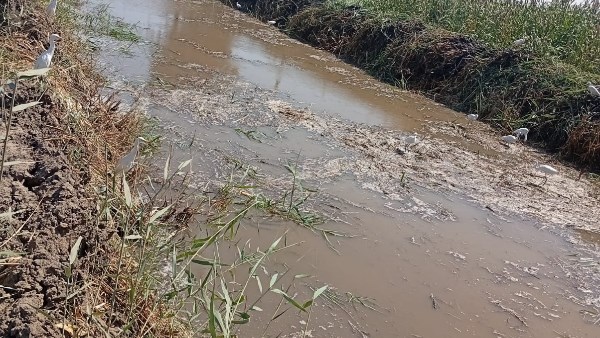 تطهير الترع والمصارف بمراكز وقرى أسيوط