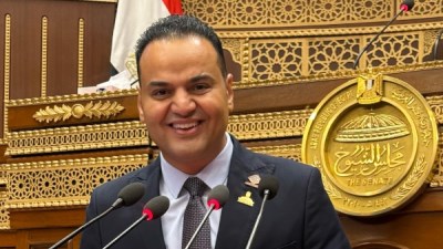 النائب 'الحسيني الليثي' عضو مجلس الشيوخ