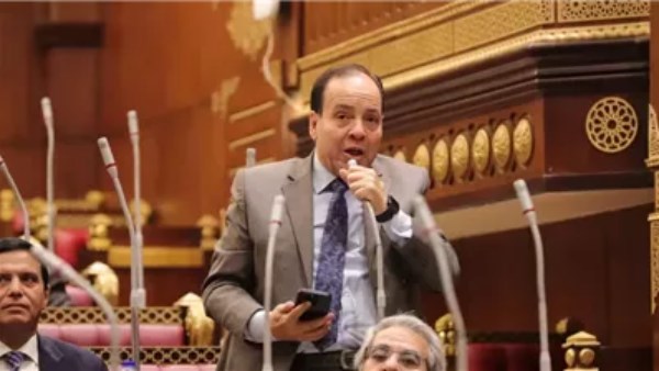 أشرف أبو النصر _ أمين التنمية بحزب حماة الوطن