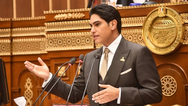 النائب أحمد أبوهشيمة