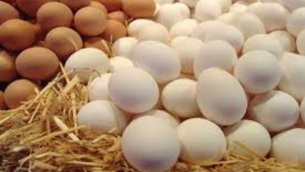  أسعار البيض