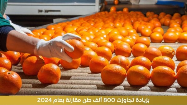  الصادرات الزراعية المصرية