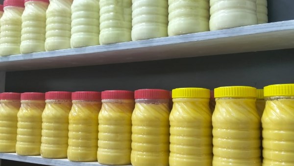 نصف طن زبدة وسمن مجهولة المصدر في قبضة تموين الإسكندرية