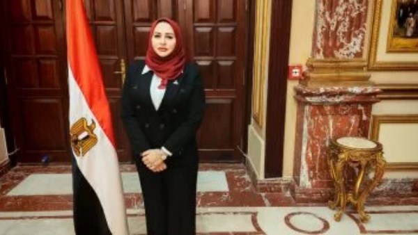 النائبة شيرين صبري