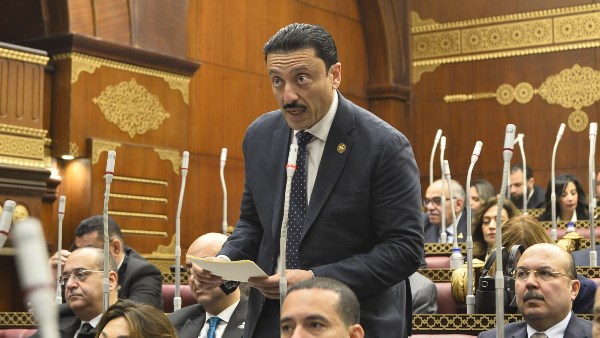 النائب محمد رزق