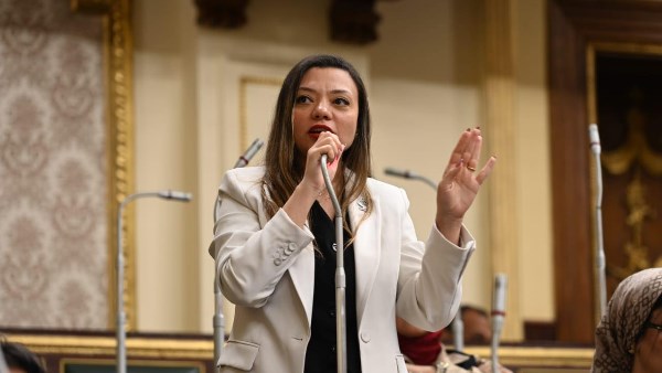 النائبة مي كرم