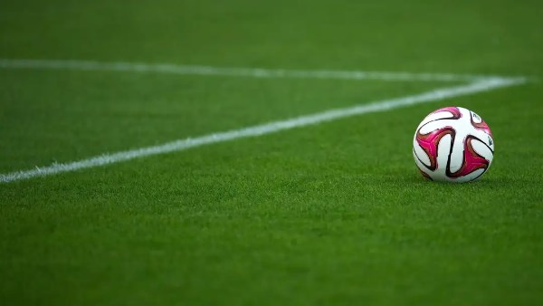 الوسط الكروي المصري