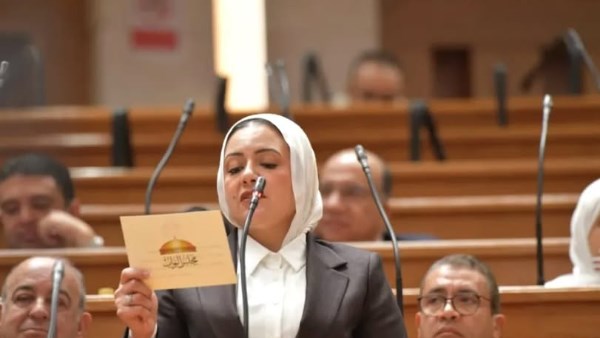 النائبة ريهام عبد النبي 