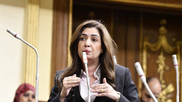  النائبة أميرة العادلي