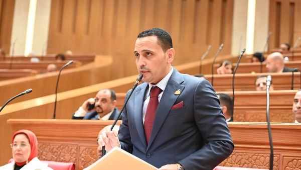 النائب إسلام التلواني