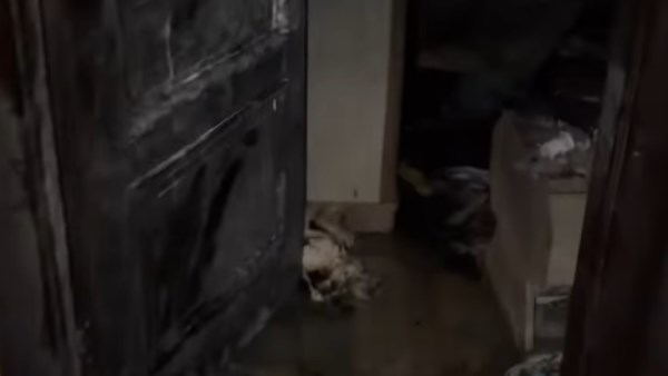 اندلاع حريق في شقة المطرب الشعبي أمير سلطان