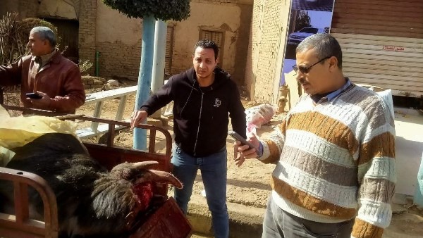 أثناء الحملة 