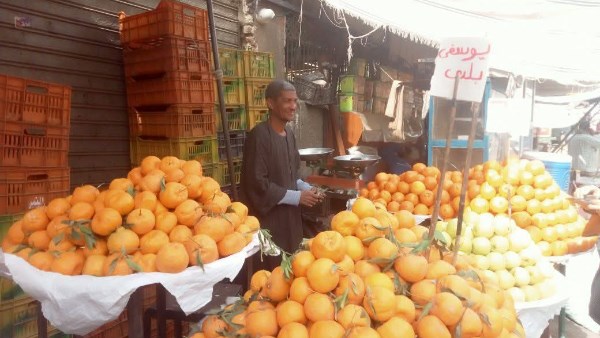 اسعار الفواكه والخضروات الطازجة بالاقصر 