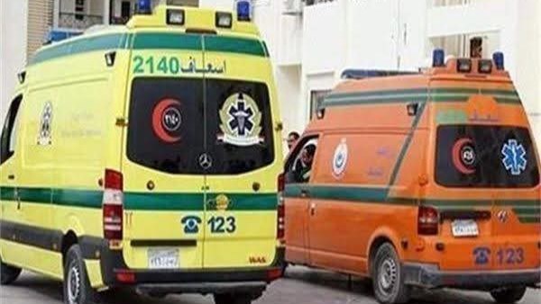 صوره ارشيفيه 