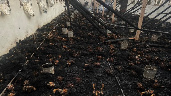 جزء من الحريق 