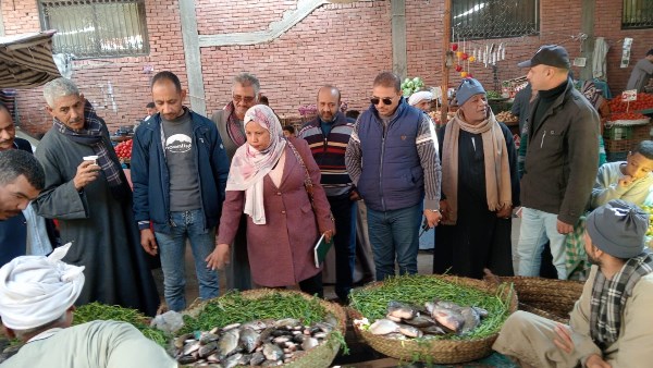 جانب من الحملة 