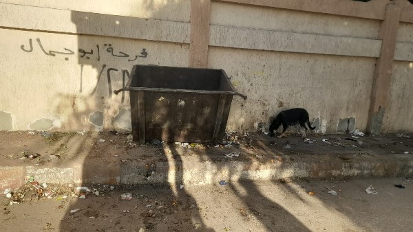 رفع القمامة 