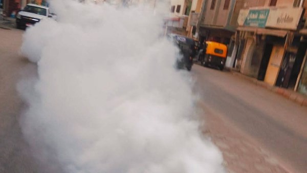 حملة مكافحة ناقلات الأمراض بالبحيرة 