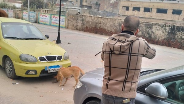 محافظة البحيرة 