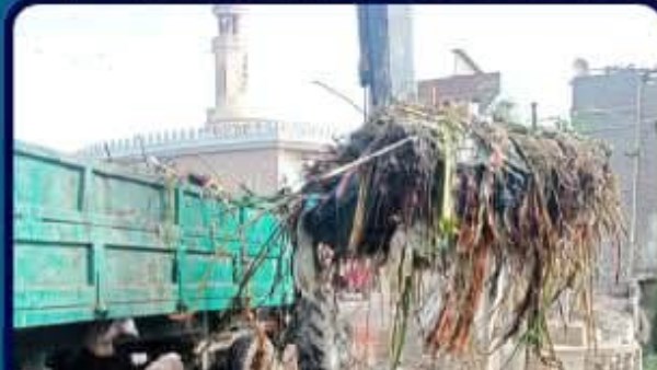 محافظة البحيرة 