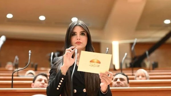 النائبة ريهام أبو الحسن 