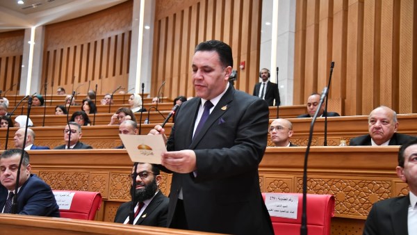 النائب عماد الغنيمي عضو مجلس النواب