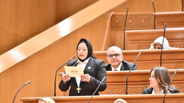 النائبة هبة فسيخ، عضو مجلس النواب