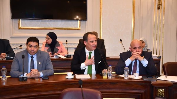 النائب إسلام الفيشاوي