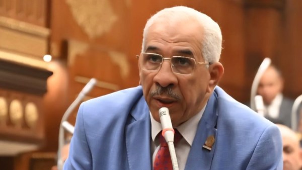 النائب مجدي سليم 