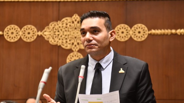 نشأت حتة عضو مجلس الشيوخ 