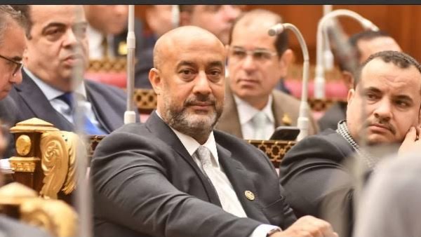 حسام سعيد عضو مجلس الشيوخ