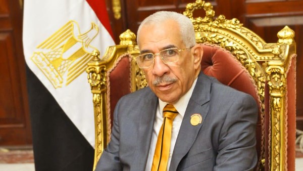 النائب مجدي سليم 