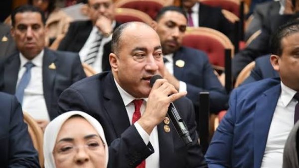 عمرو رشاد عضو مجلس الشيوخ 