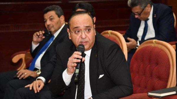 امير هلال عضو مجلس الشيوخ 