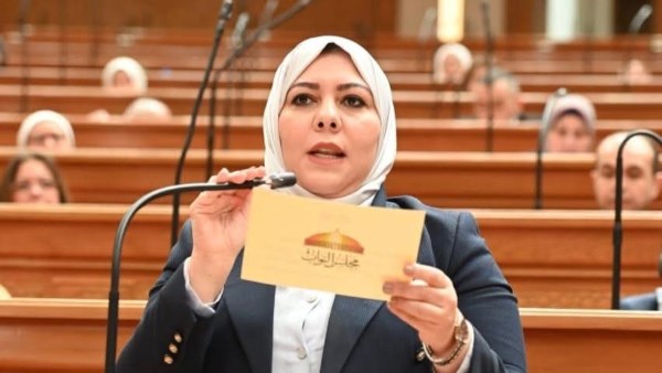 د.شيماء محمود نبيه