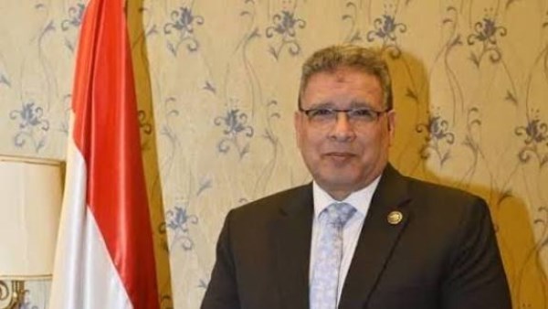 عصام العمدة عضو مجلس النواب 