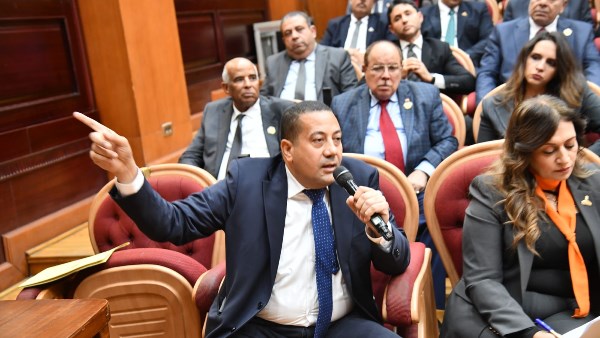 ناصر الضوي عضو مجلس الشيوخ 