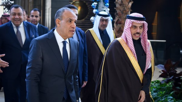وزير الخارجية يعقد مباحثات ثنائية مع نظيره السعودي 