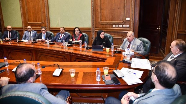 لجنة التعليم توصي بحجب روبلوكس وتفعيل شرائح إنترنت أبوية لحماية النشء 