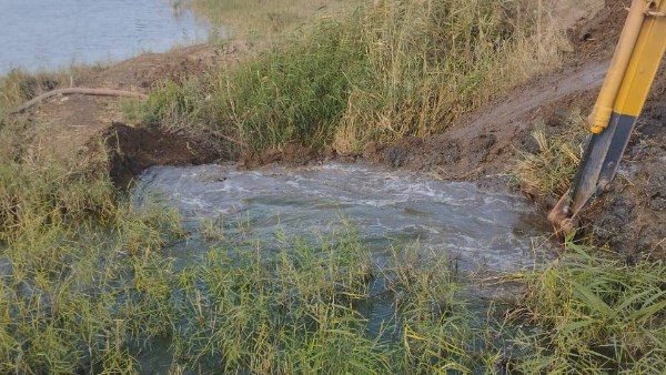 إزالة  الأحواض السمكية المخالفة على حرم مصرف بحر البقر 