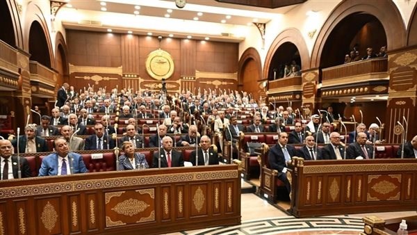 السيد عبدالعال: أثار قضية ورد النيل تمتد بما هو أبعد من السكان والمياه 