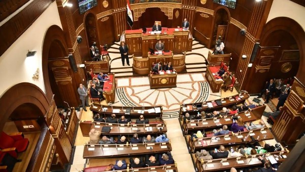 النائب جمال أبو الفتوح: ورد النيل نبات غازي يستنزف مياه النيل ويهدد الزراعة