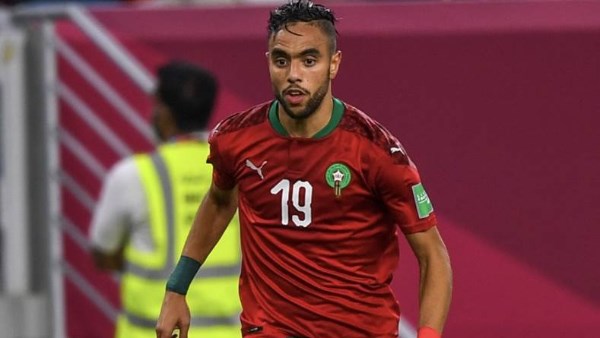 محمد الشيبي