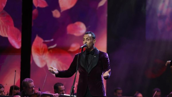 محمد الطوخي