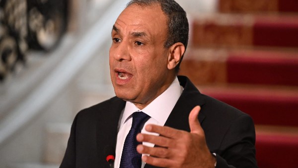 وزير الخارجية المصرية بدر عبد العاطي 
