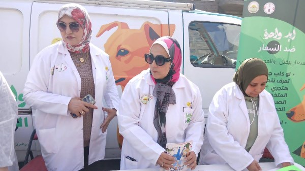  حملات تحصين وتعقيم "كلاب الشوارع"