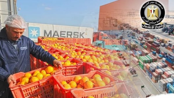 الصادرات الزراعية المصرية